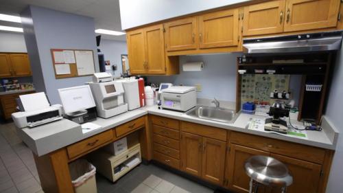 Lab